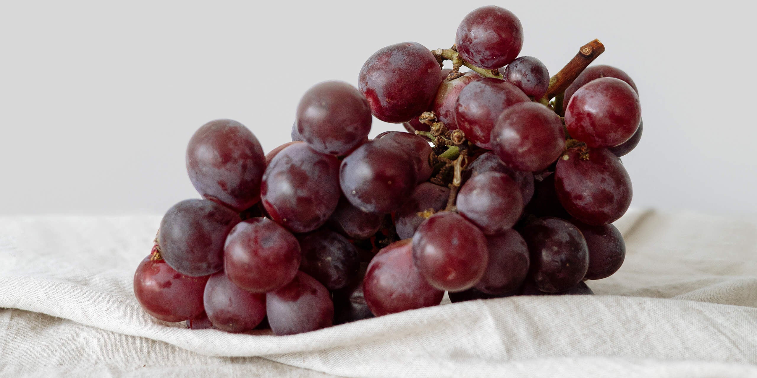 Cellule staminali dell’uva: proprietà e benefici